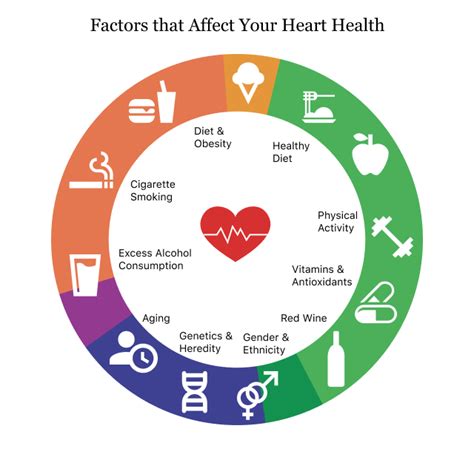 Cardiovascular Health | Heart Disease, Stroke & Other Risks