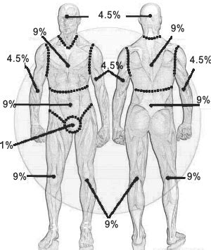 Skin surface area risk assessment calculator