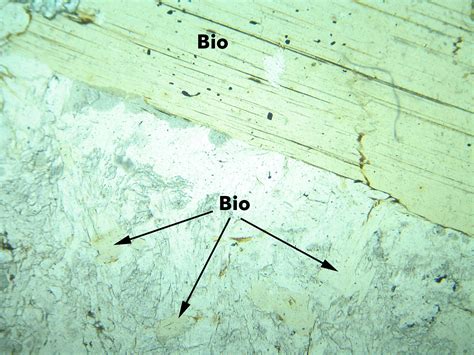 Biotite