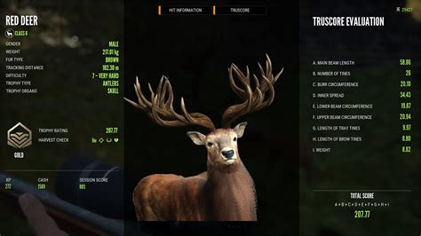 Why are Red Deer trophies so overly exxagerated? Did the devs just google NZ stags and went for ...