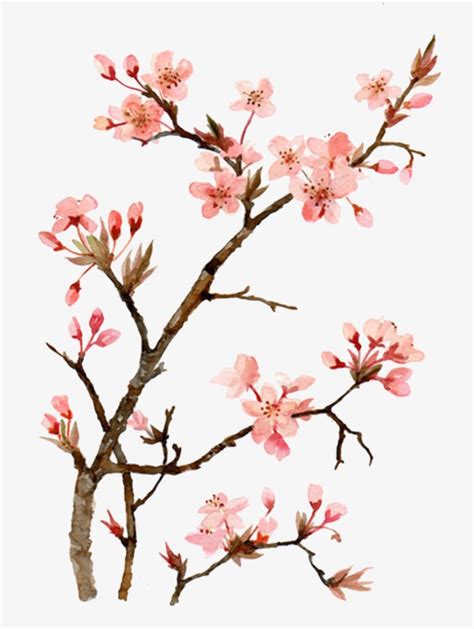 Peach Blossom Drawing at GetDrawings | Free download