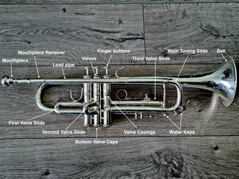 Beginner S Guide Parts Of A Trumpet Diagram - vrogue.co