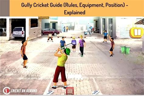 Gully Cricket Guide (Rules, Equipment, Position) - Explained - COD