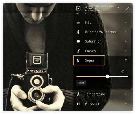 Sepia Tone Filter | Use Sepia Effect on your Photo with Raw.pics.io