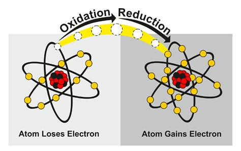 Class 11 Redox Reactions: Examples and NCERT Notes - Leverage Edu