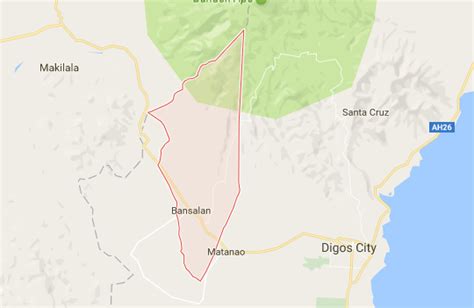 Davao del Sur town vice mayor suspended for neglect of duty | Inquirer News