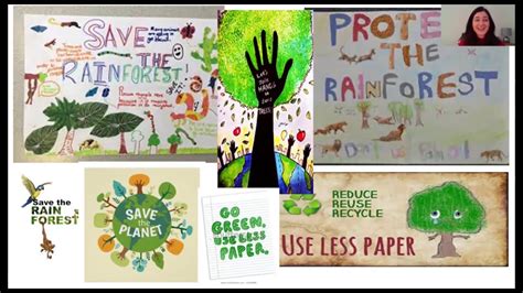 Save the rainforest poster - Year 2 - YouTube