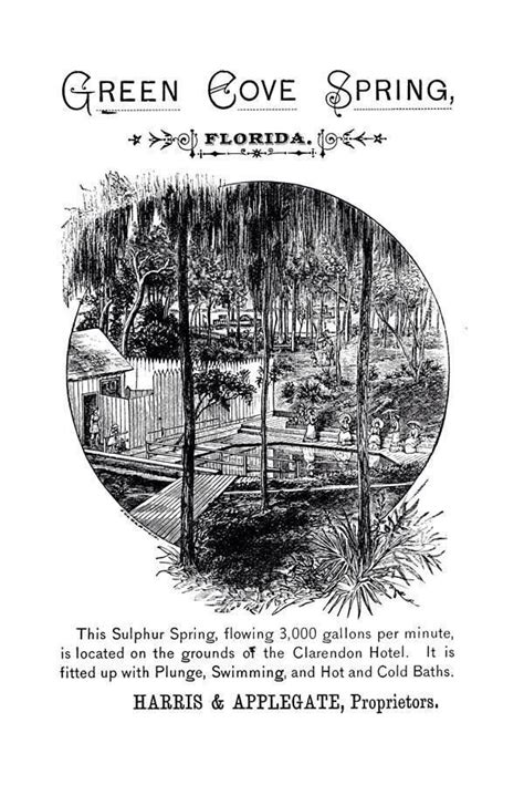 Green Cove Spring advert | Green cove springs, Old florida, Florida