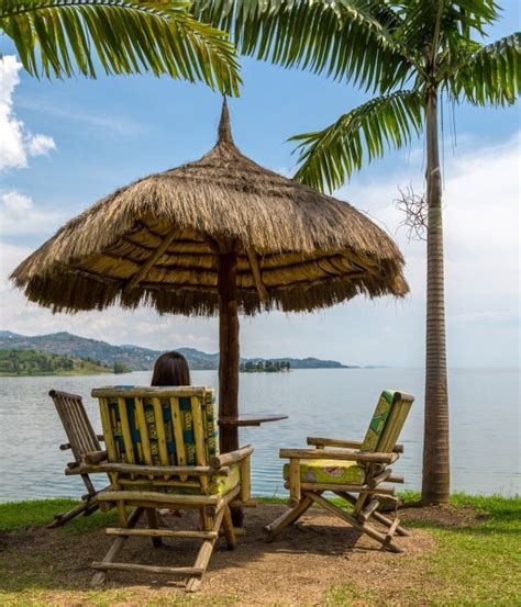 Explore Lake Kivu For An Excellent Bird Watching Holiday : Ikewana