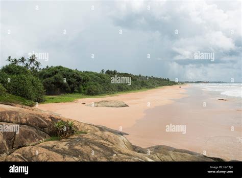 Bentota beach, Sri Lanka Stock Photo - Alamy