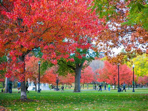 Fall Foliage Boston: 18 Best Leaf Peeping Spots in New England For Fall ...