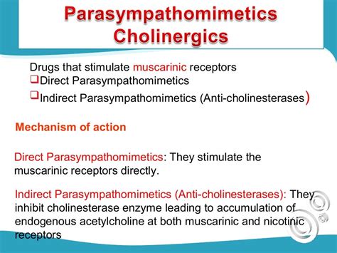 3.cholinergic drugs