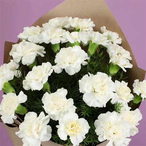 Buy/Send Serene White Carnations Bouquet Online- Ferns N Petals