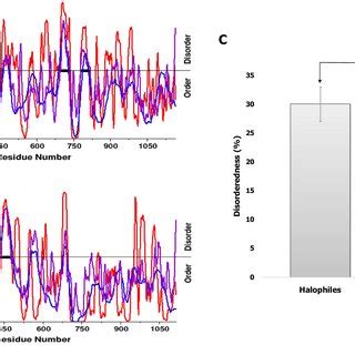 (PDF) Molecular evolution steered structural adaptations in the DNA Polymerase III α subunit of ...