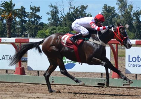 Es De Dato: |PRONOSTICO - HIPODROMO DE LA PLATA - DOMINGO 2/5/2021|