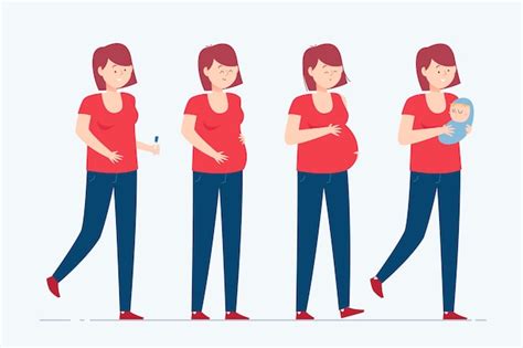 Premium Vector | Pregnancy stages illustration concept