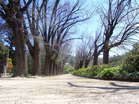 15 Best Things to Do in Albury (Australia) - The Crazy Tourist