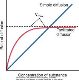 Solved Simple diffusion max Rate of diffusion Facilitated | Chegg.com