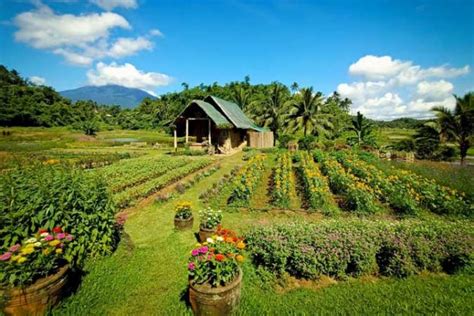 Agriculture tourism seen benefiting from greater mobility for children - BusinessWorld