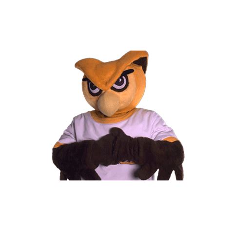 Ncaa Mascot Sticker by Rowan University for iOS & Android | GIPHY