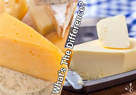 Cheese vs Butter: The Milk Difference | KitchenSanity