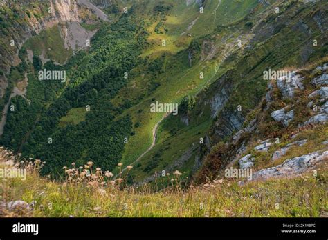 Alpine Meadows Trail, alpine Meadows Walking Route. Aerial view of the ...