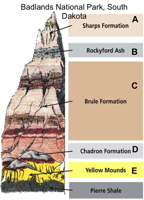 [Solved] The Badlands of South Dakota show exposed rock layers that date... | Course Hero