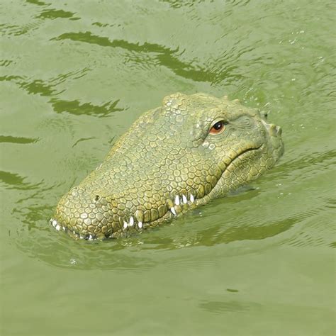 Crocodile Prank Alligator Head RC Boat 2.4G Remote Control Electric Toy | Crocodile species ...