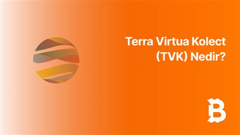 Terra Virtua Kolect (TVK) Nedir? - Bitci Akademi