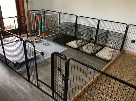 Pin by Diana Muldoon on Dog stuff | Indoor dog kennel, Dog kennel, Dog ...