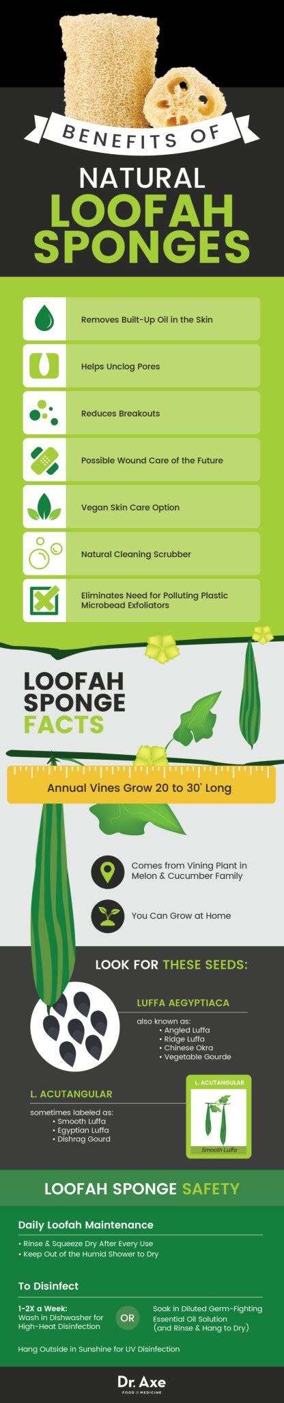 Benefits of using Natural Loofah Sponges Diy Health, Health And ...