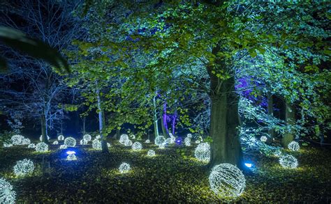 24 pictures of spectacular Christmas lights display at the Wimpole Estate, Cambridgeshire