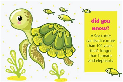 25 Fun Facts About Sea Turtle For Kids