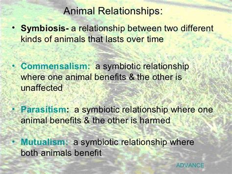 Grassland notes: Notes on world's grassland types & organisms' adapt…