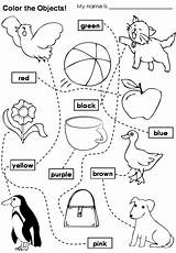 Coloring Pages Worksheets sketch template