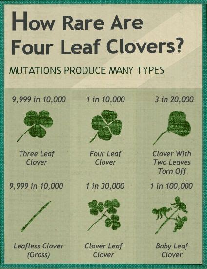 The four-leaf clover represents hope, faith, love, happiness, but also symbolize the four ...