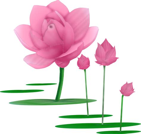 Lotus Flower Vector Free Download At Getdrawings Free - vrogue.co