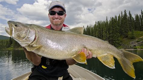 Catching Giant BC Lake Trout - The Fishing Canada Show