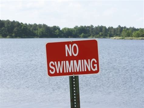 Lake Mohegan Beach Season May Be Delayed By Dredging Project ...