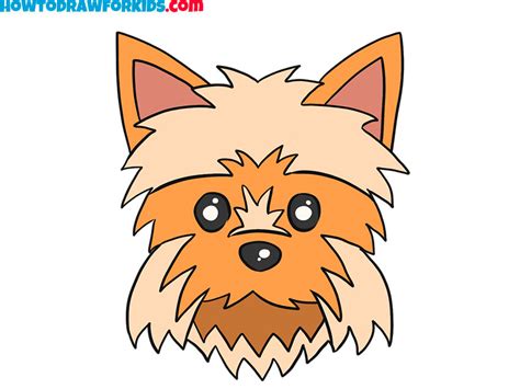 How to Draw a Yorkie Face - Easy Drawing Tutorial For Kids