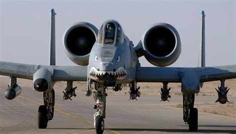 Why is The A-10 Thunderbolt Nicknamed “Warthog”? – amazing.caphemoingay.com