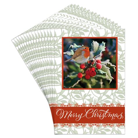 Christmas Boxed Greeting Card Multi-Pack Set (4" x 6") by Fravessi | 16 ...