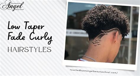 Low Taper Fade Curly Hair: 5 Things You Need To Know