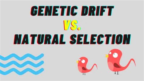 Difference between Genetic Drift and Natural Selection