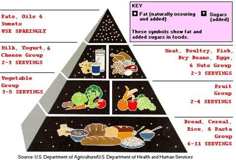 Examples of low fat diets | XXX Porn Library