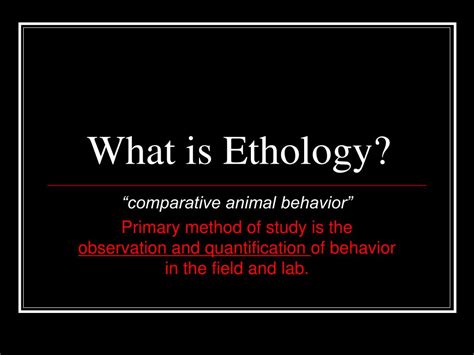 PPT - What is Ethology? PowerPoint Presentation, free download - ID:1444906