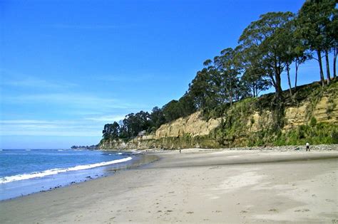 New Brighton State Beach! Can't wait to be here all weekend! Only beach we go to! Santa Cruz ...