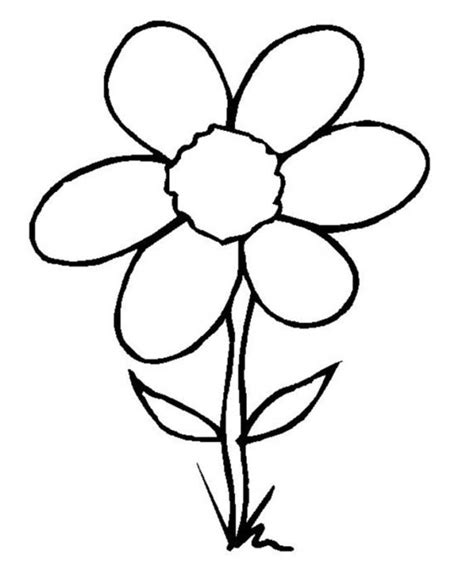 Free Simple Flower Outline, Download Free Simple Flower Outline png ...