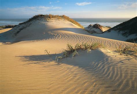 Sand Dunes At Gunyah Beach In Coffin Bay National Park, Eyre Peninsula ...