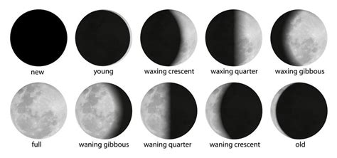 The Moon’s Phases and What They Represent - Balance